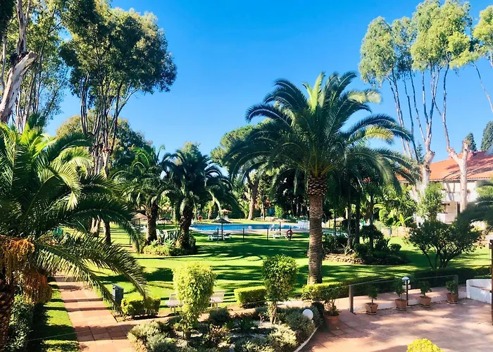 Baraka Banus Marbella